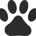 Đồng xu 3D in hình dấu chân chó (Dog Paw Print Coin) cực kỳ dễ thương - Thumbnail 2