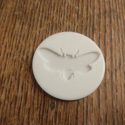 Mẫu in 3D đồng xu Cicada (ve sầu) tinh xảo và độc đáo