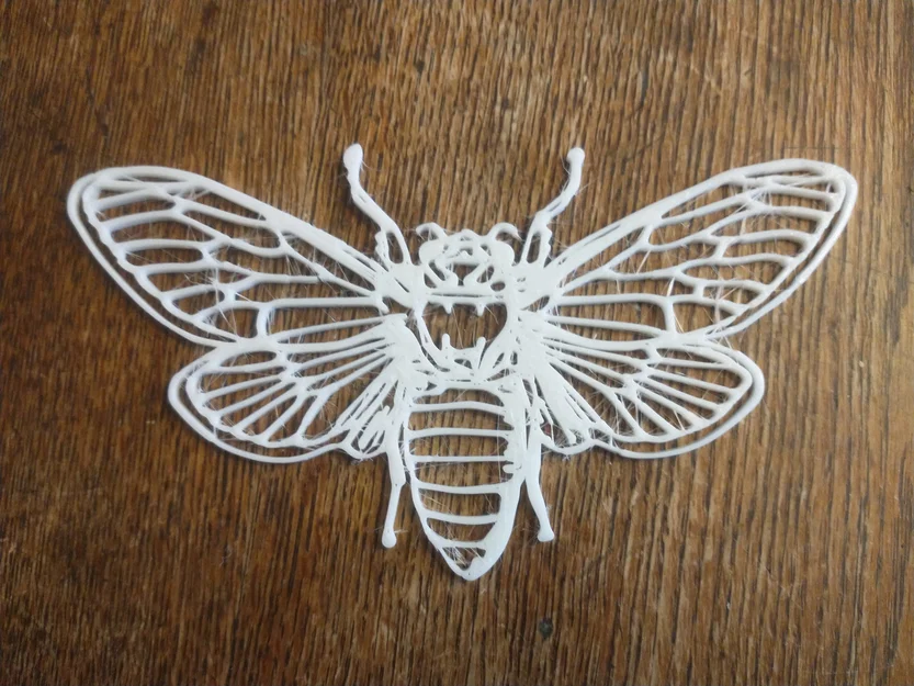 Mô hình trang trí tường hình con ve sầu - Cicada Wall Art - Image 1