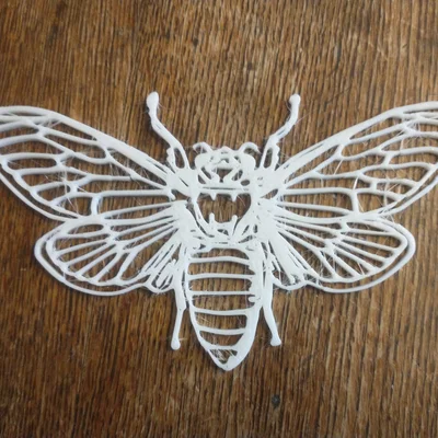 Mô hình trang trí tường hình con ve sầu - Cicada Wall Art