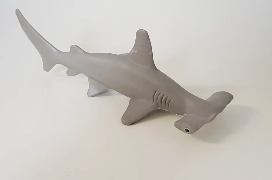 Mô hình 3D cá mập đầu búa (Hammerhead Shark) ấn tượng - Image 1