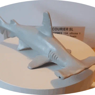 Mô hình 3D cá mập đầu búa (Hammerhead Shark) ấn tượng