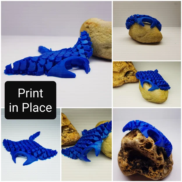 Rochen, cá đuối manta - Image 1