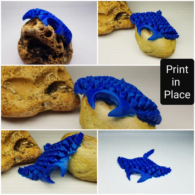 Rochen, cá đuối manta - Image 2