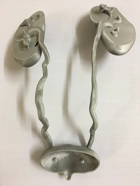Mô hình giải phẫu hệ tiết niệu 3D chi tiết - Thận, Niệu quản, Bàng quang - Image 3