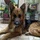 Knickfinger_2292816