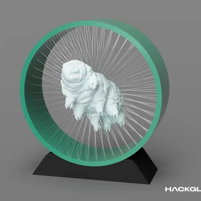 Tardigrade (Water bear) dạng treo