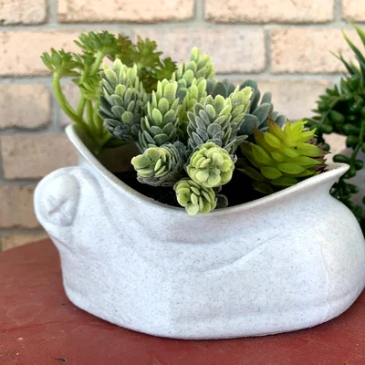 Mẫu in 3D chú ếch miệng rộng - Khay đựng đồ và chậu cây xinh xắn