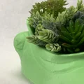 Mẫu in 3D chú ếch miệng rộng - Khay đựng đồ và chậu cây xinh xắn - Thumbnail 7