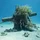 ChristianN_317746
