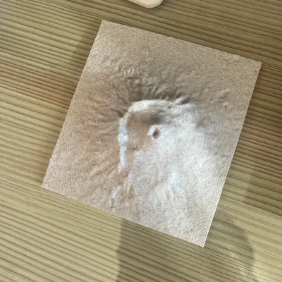 Mô hình in 3D núi lửa Vesuvius - Địa hình chi tiết sắc nét