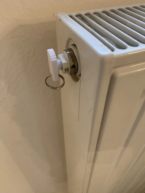 Chìa khóa xả khí bộ tản nhiệt 5mm (Air bleeder key) tiện dụng - Image 1