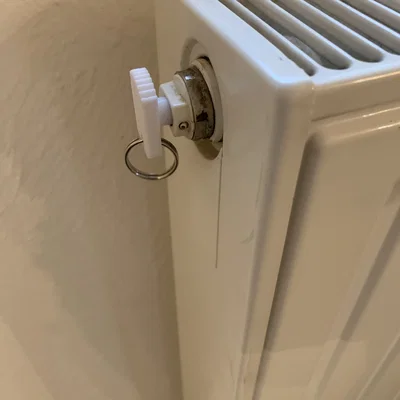 Chìa khóa xả khí bộ tản nhiệt 5mm (Air bleeder key) tiện dụng