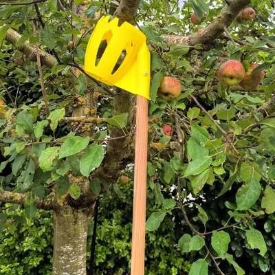 Dụng cụ hái trái cây – Apple Grabber (Fruit Picker)