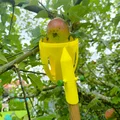 Dụng cụ hái trái cây – Apple Grabber (Fruit Picker) - Thumbnail 4