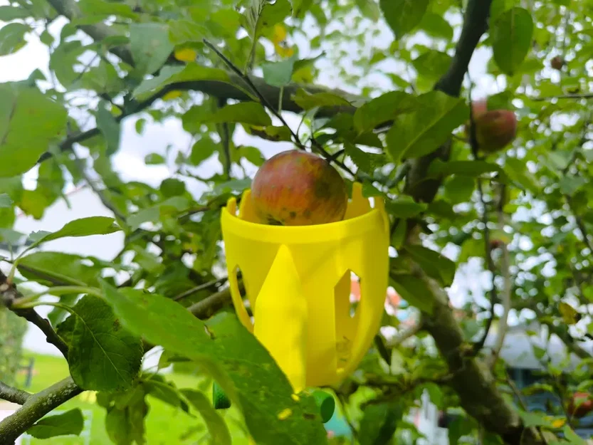 Dụng cụ hái trái cây – Apple Grabber (Fruit Picker) - Image 5