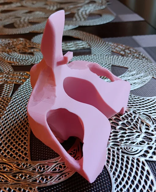 Giá đỡ kính hình đầu lâu có móc treo an toàn - Image 2