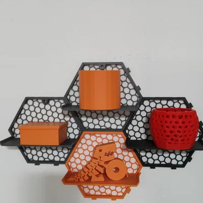 Hệ thống panel lưu trữ HEXAGON STAND cho xe mô hình 1:43