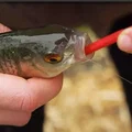 Bộ 3 Dụng Cụ Gỡ Lưỡi Câu Tiện Lợi (Fishing Disgorger) - Thumbnail 2