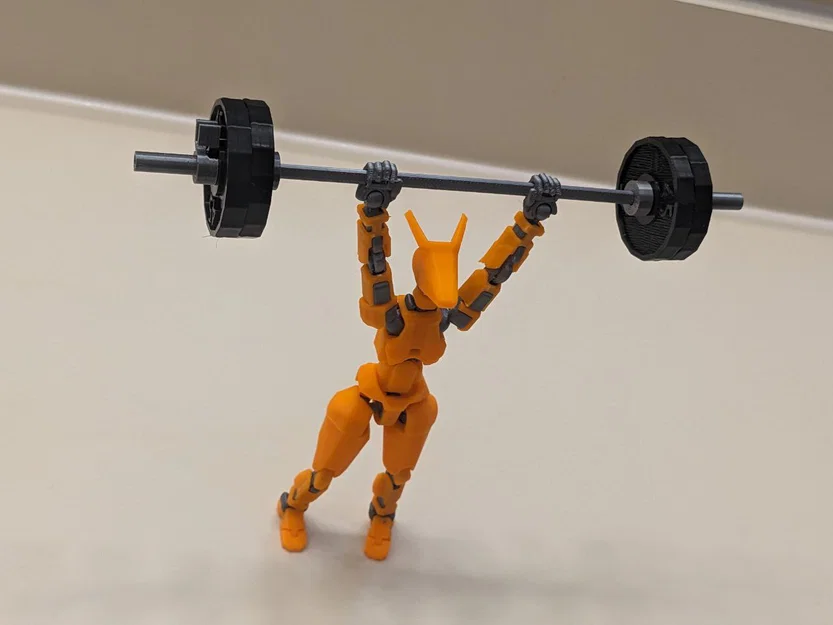 Barbell kèm Plates & working Collars cho Dummy 13 - Image 1