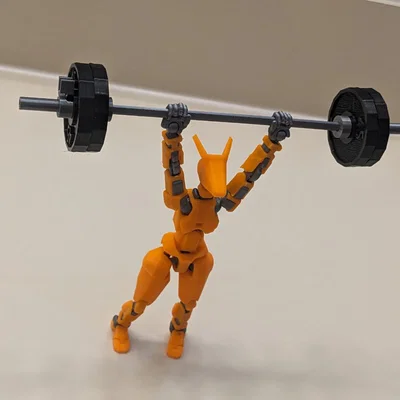 Barbell kèm Plates & working Collars cho Dummy 13