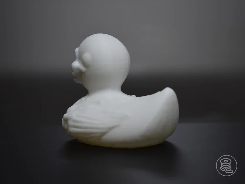 Mô hình 3D chú vịt xương Halloween (Skeleton Duck) độc đáo - Image 3