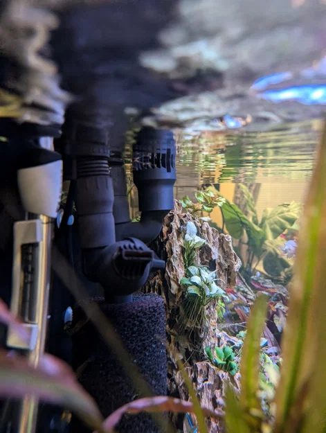 Ống Hút Skimmer Cho Fluval FX4 FX6 (Fluval FX4 FX6 Skimmer Intake) - Image 2