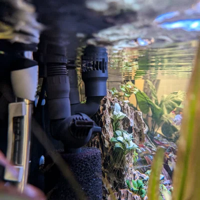 Ống Hút Skimmer Cho Fluval FX4 FX6 (Fluval FX4 FX6 Skimmer Intake)
