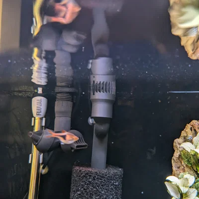 Ống Hút Skimmer Cho Fluval FX4 FX6 (Fluval FX4 FX6 Skimmer Intake)