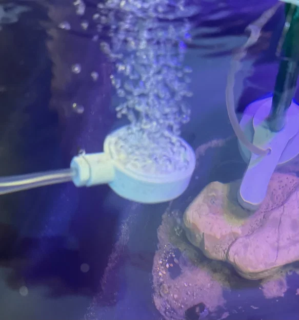 Airstone sủi bọt cho hồ cá (Aquarium fish tank Airstone Bubbler) - Image 1