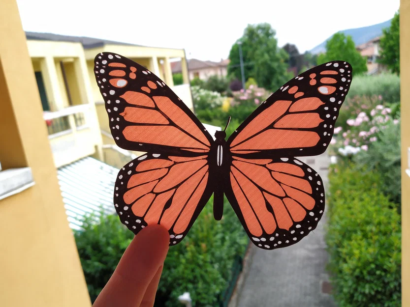 Bướm Monarch (Monarch Butterfly) - Image 1