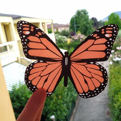 Bướm Monarch (Monarch Butterfly)