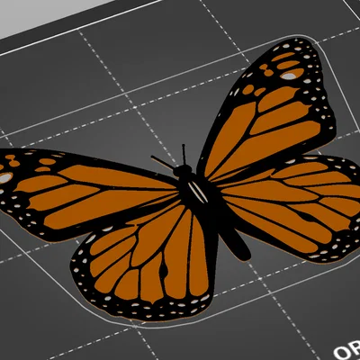 Bướm Monarch (Monarch Butterfly)
