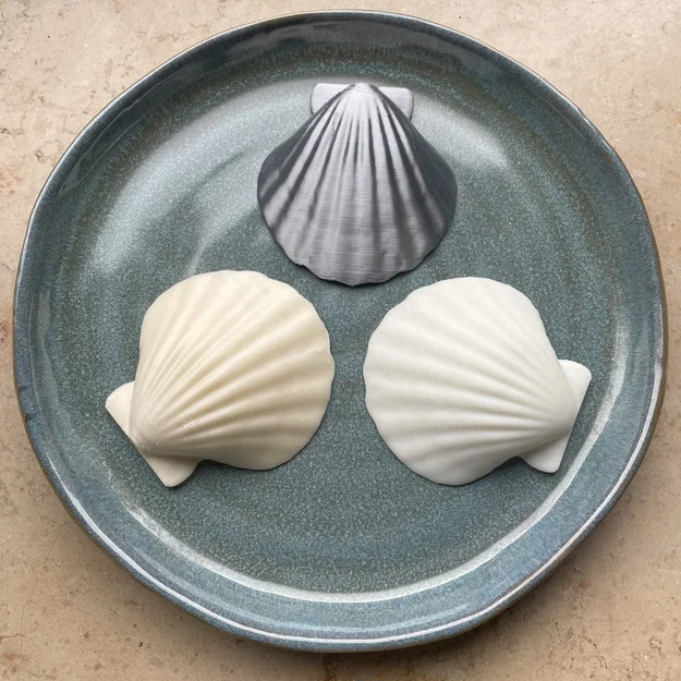 Mô hình vỏ sò tự nhiên 3D - Tinh tế và chân thực - Image 1