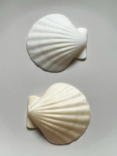 Mô hình vỏ sò tự nhiên 3D - Tinh tế và chân thực - Image 2