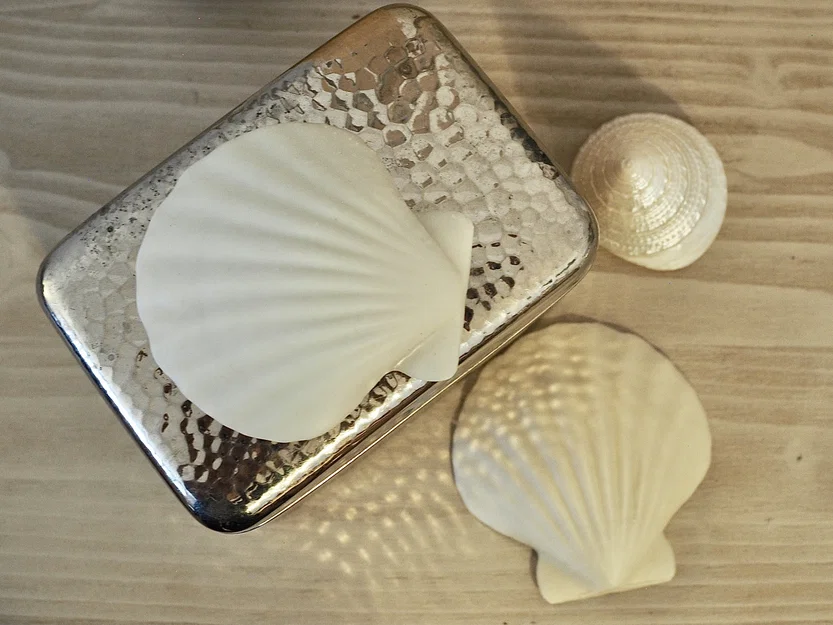 Mô hình vỏ sò tự nhiên 3D - Tinh tế và chân thực - Image 3