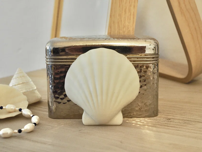 Mô hình vỏ sò tự nhiên 3D - Tinh tế và chân thực - Image 5