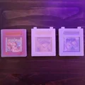 Hộp đựng băng GameBoy Color (Game Cartridge Case) - Thumbnail 3