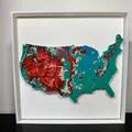 Bản đồ Địa hình 3D Hoa Kỳ (United States 3D Topographic Map) - Thumbnail 2
