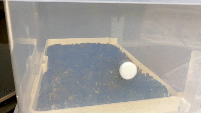 Khay Hút Ẩm PrintDry Desiccant Tray - Image 2