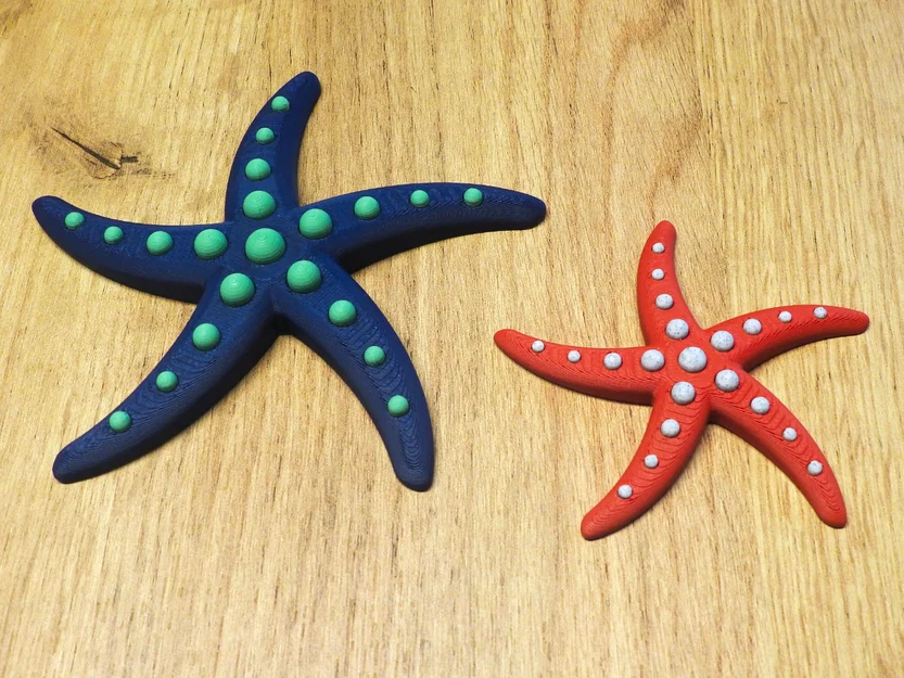 Sao biển Single Extruder - Dual Color - Image 3