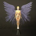 Thiên Thần Tùy Biến (Customizable Angel) - Thumbnail 5
