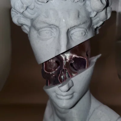 Splitting of David – Bản tách rời đầu tượng David và skull