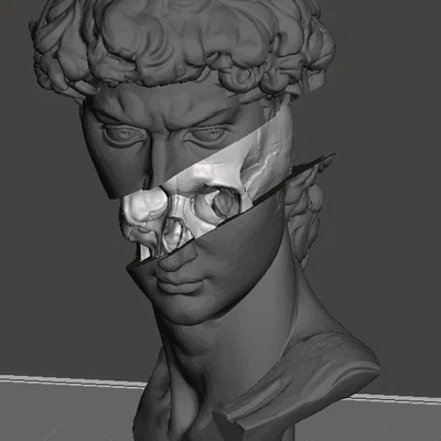 Splitting of David – Bản tách rời đầu tượng David và skull