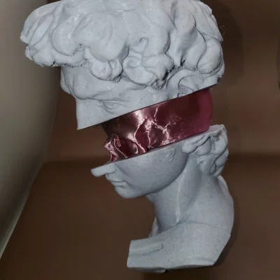 Splitting of David – Bản tách rời đầu tượng David và skull