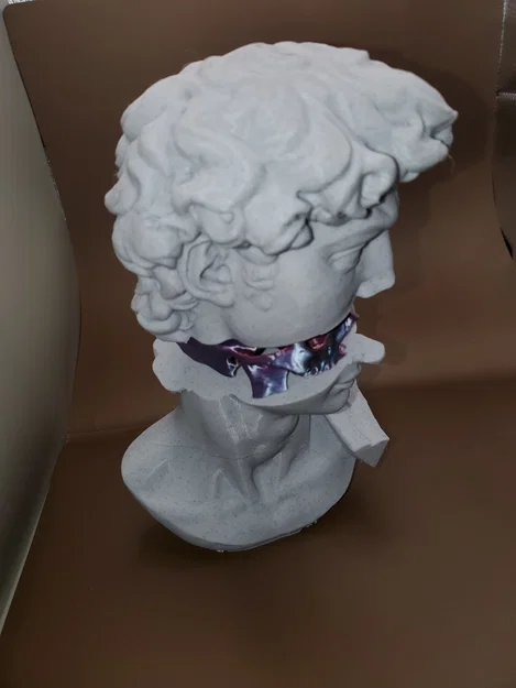 Splitting of David – Bản tách rời đầu tượng David và skull - Image 4