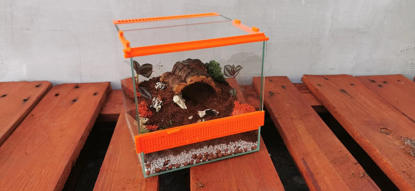 Terrarium – Nhà nhỏ cho nhện - Image 1