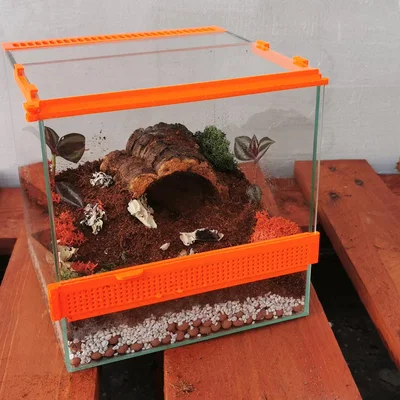 Terrarium – Nhà nhỏ cho nhện
