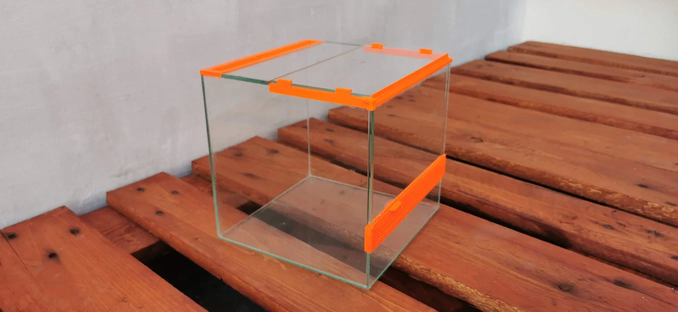 Terrarium – Nhà nhỏ cho nhện - Image 3