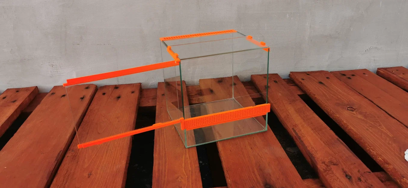 Terrarium – Nhà nhỏ cho nhện - Image 4